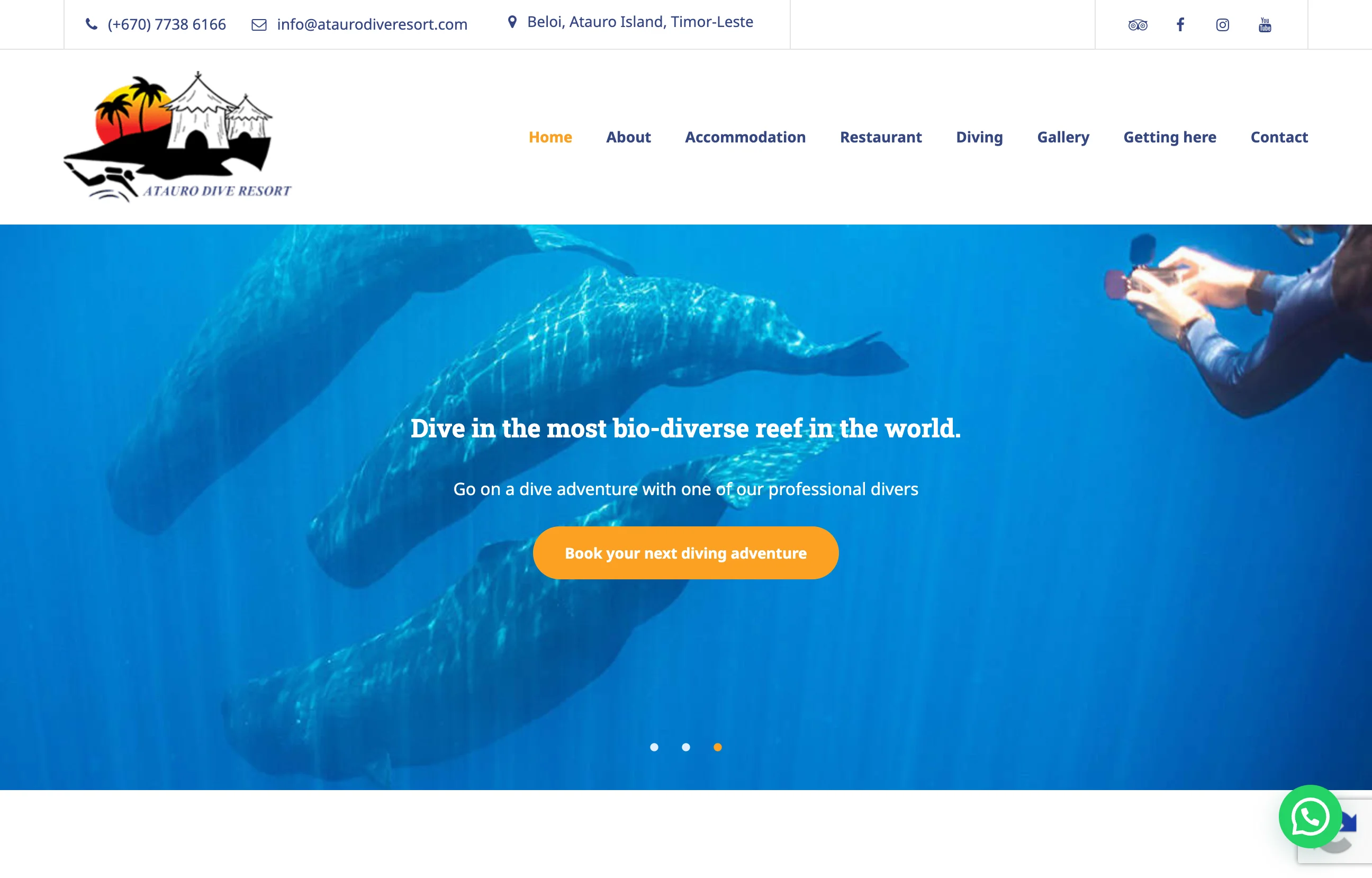 Atauro Dive Resort