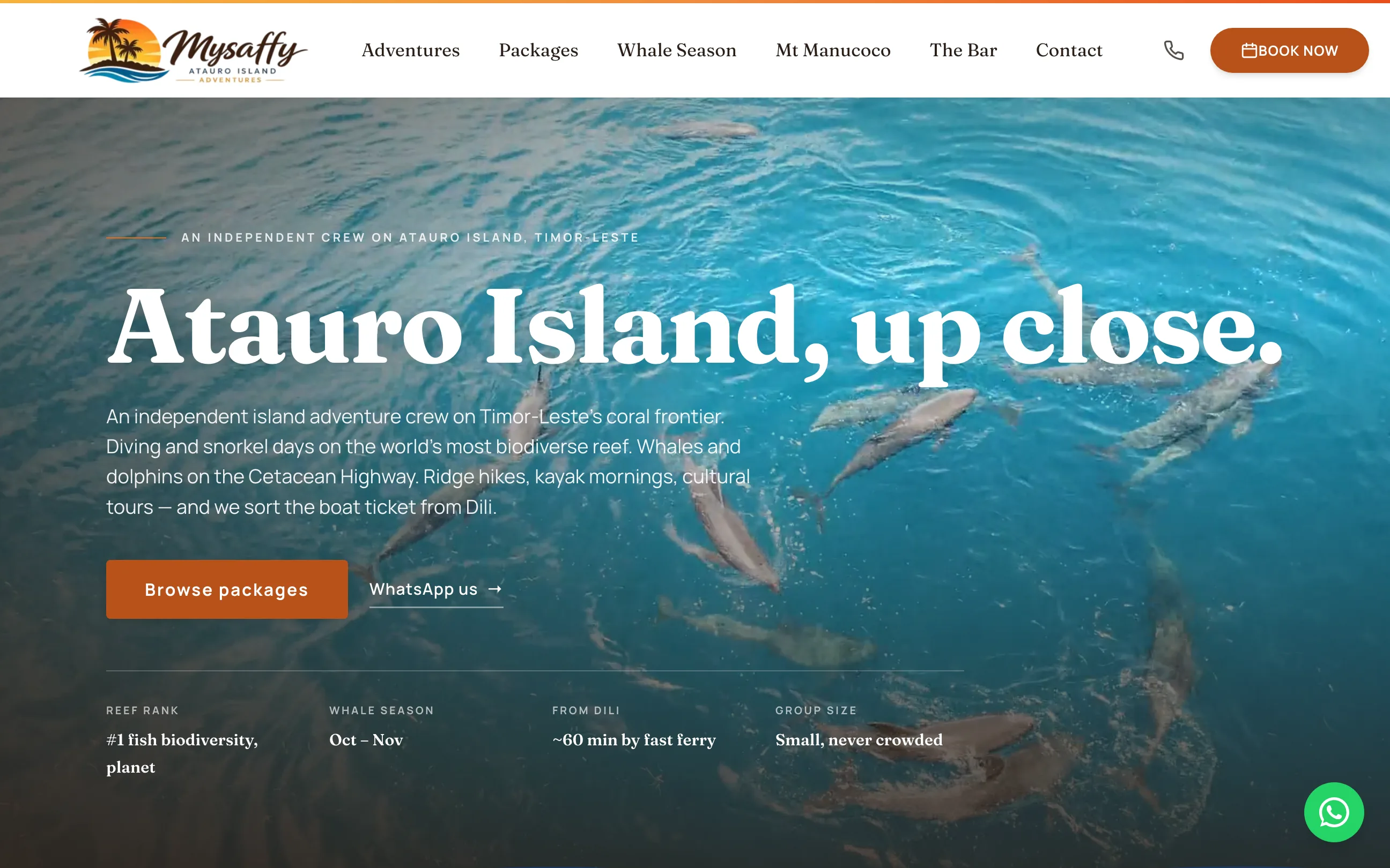 Mysaffy Atauro Island
